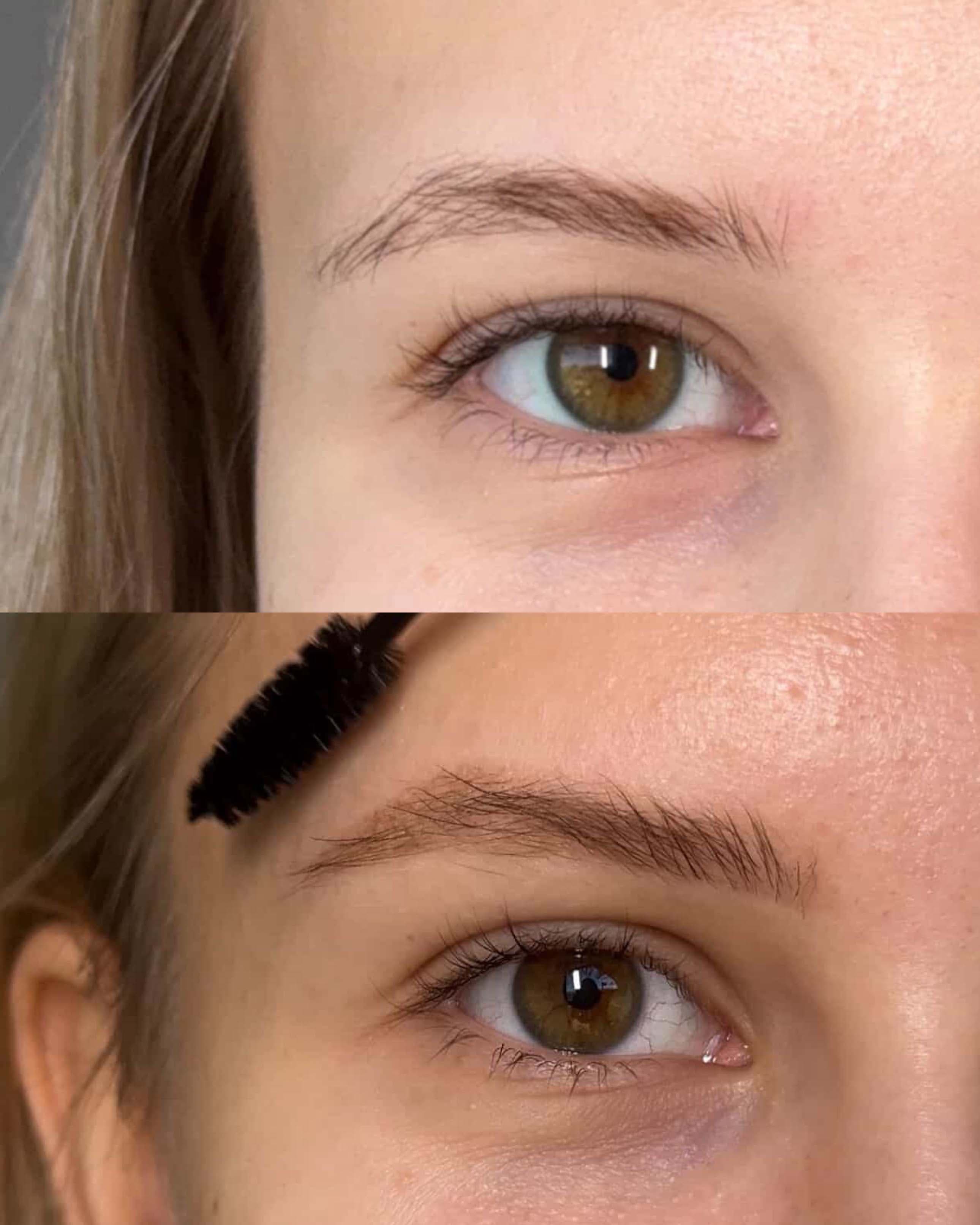 Cejas Powder / Ombre
